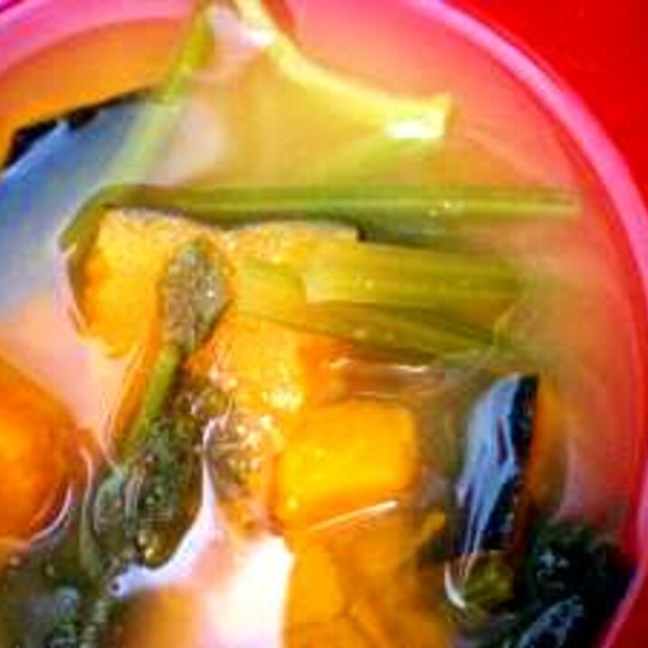 葉も食べてエコ☆ラディッシュの葉の味噌汁